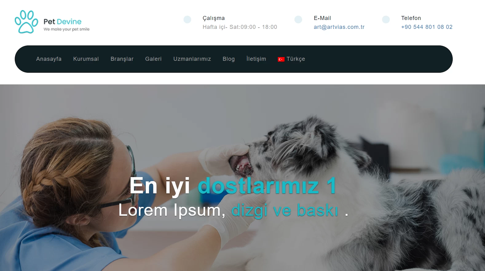 Profesyonel Veteriner Hizmetleri için özel php scrip