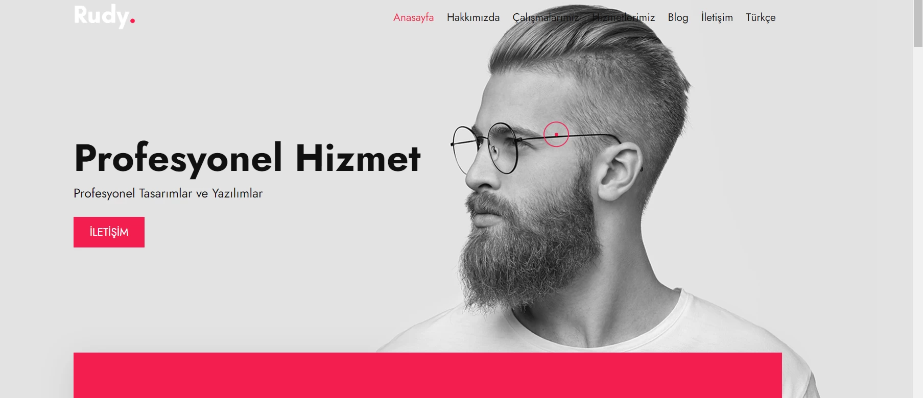 ajanslara özel php scrip özel yönetim paneli scrip